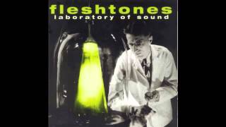FLESHTONES   sands of our lives