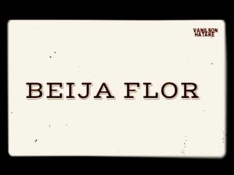 DJ Vanilson Hatake Geminix, Ricca & Kasthree - Beija Flor  Remix