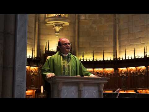 Homilía de Mons Munilla el domingo 18-8-2013 en la Catedral de San Sebastián