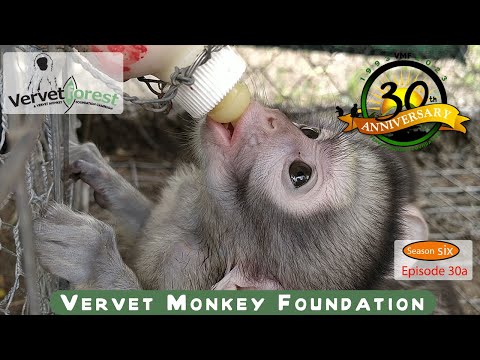 "Utku and Phoebe's Incredible Journey with SAAV Troop: Embracing New Adventures"