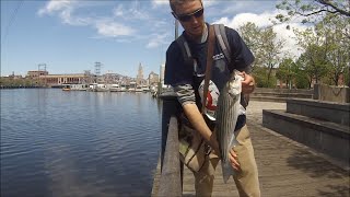 preview picture of video 'Spring Striped Bass fishing Providence River Rhode Island-play in HD'