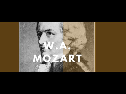 Wolfgang Amadeus Mozart - a biography: his life and places