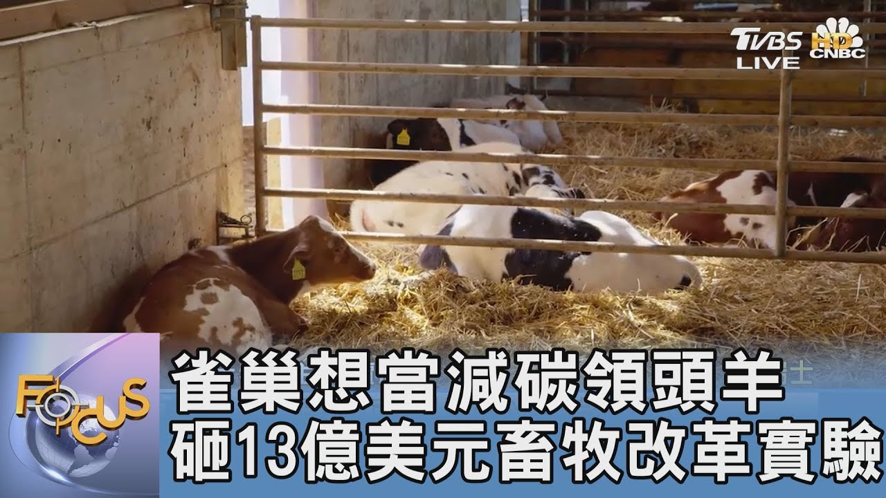 雀巢想當減碳領頭羊 砸13億美元畜牧改革實驗