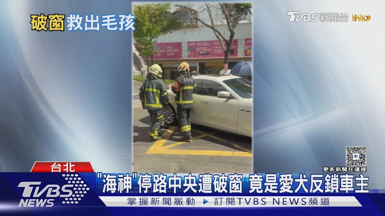 助身障婦推輪椅轉身傻眼　愛犬「踩鎖」害她困車外求救