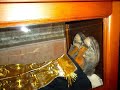 In One Year All Three Who Wanted To Bury Saint John Jacob The Hozevite Were Cleansed