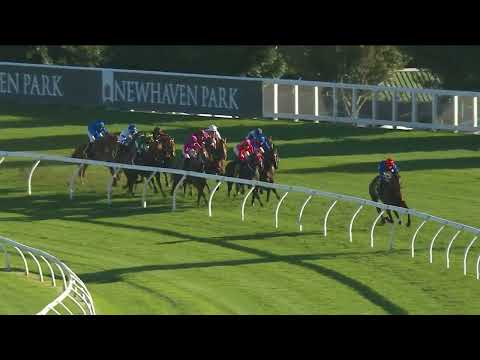 2023 All Aged Stakes