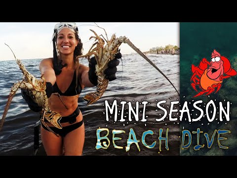 Nicole FREEDIVING for LOBSTER + SPEARFISHING!**100% Hand Grabbing ACTION!** No NETS or SNARES!