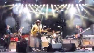 Wilco - Iveagh Gardens Dublin Ireland  - I'm A Wheel