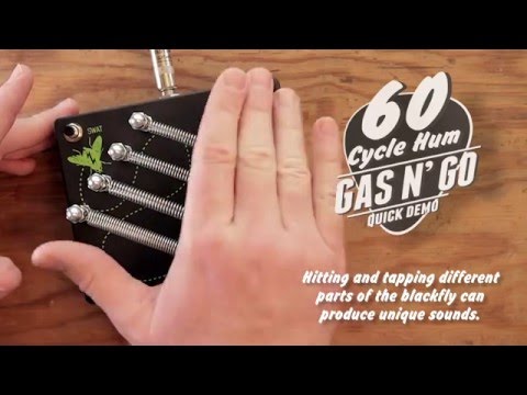 GAS N' GO - Electro Faustus EF110 - Blackfly