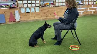 Teaching Crawl and Catch a ring tricks