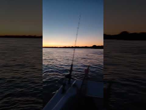 ayer sábado  10 de enero  en reconquista  santa fe a full las chicharras