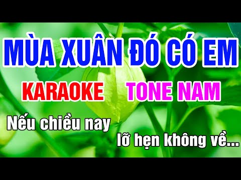 Mùa Xuân Đó Có Em Karaoke Tone Nam Nhạc Sống gia huy beat