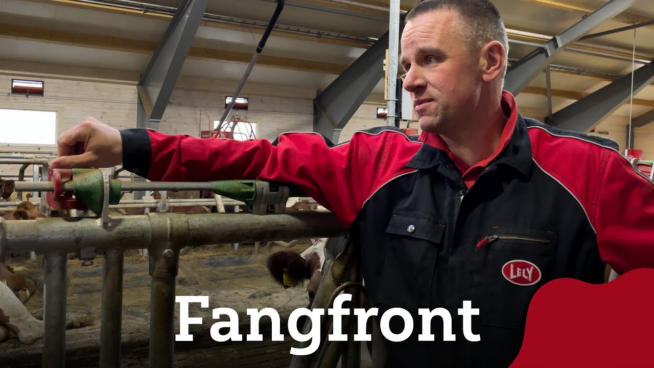 Fangfront i løsdriftsfjøs