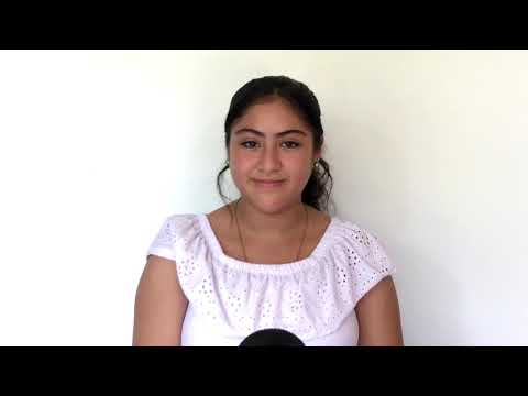 Academia de idiomas Allan