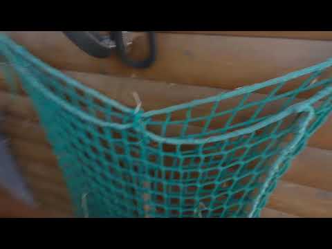 MUSTANG MAKEOVER 2018 Team Lina (TAG 4221) - Update 7