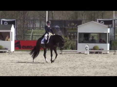 Bailamos Biolley&Katrien Verreet CDI Zeeland april 2016