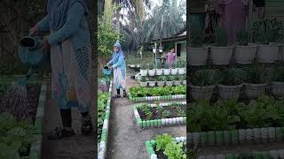 Download lagu sore sore siram kebun samping rumah #berkebun #sayuran mp3