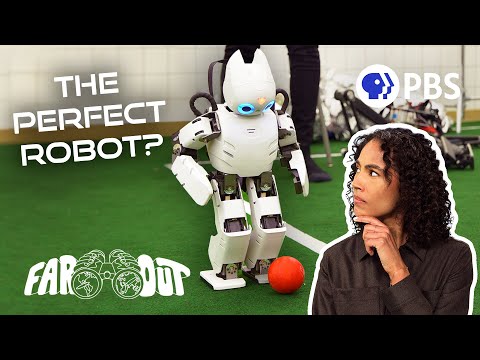 Is Designing the Perfect Robot Even Possible?
