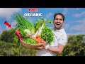 We Grow Organic Fruits And Vegetables 100 Healthy