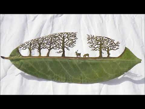 Part & Parcel - Jungle / Drum and Bass & The Amen Break