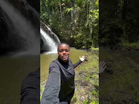 Venha conhecer as belezas naturais de Cravolândia!