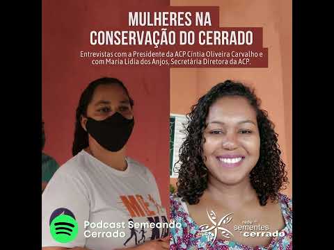 Mulheres na Conservação do Cerrado – o impacto da coleta de sementes nativas (Podcast Semeando)