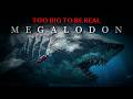 We Were Completely WRONG About Megalodon