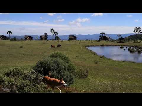 Sítio à  venda em Urubici-SC