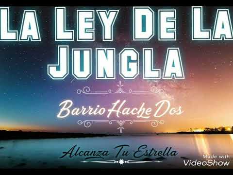 La Ley De La Jungla   Barrio Hache Dos Mc Piraña & Sude