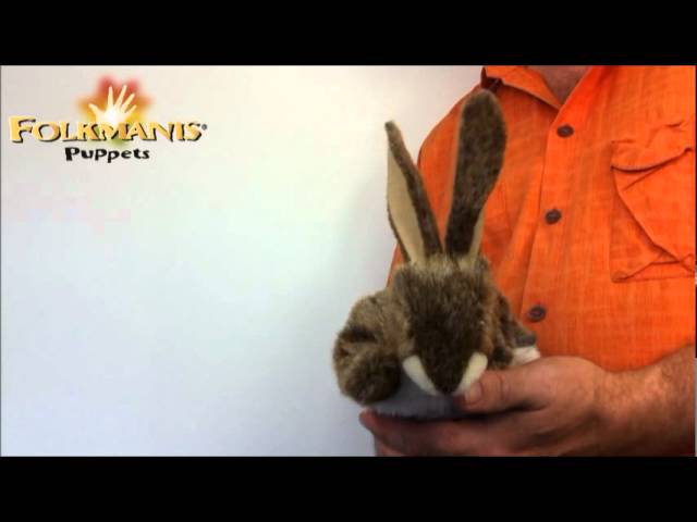 Video teaser for 2931 Folkmanis Little Hare