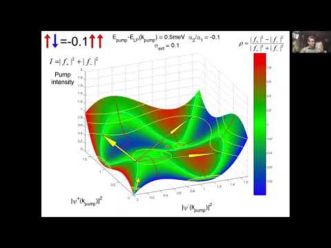 GIPPIUS Nikolay, Nonlinear effects in polarized polariton condensates in microcavities