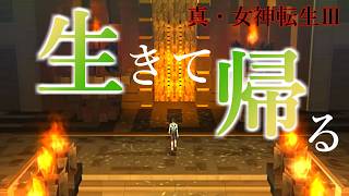 【真・女神転生Ⅲ】マントラ攻略(三回目)【ネタバレあり】【柏木ダン】