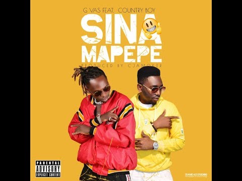 G VAS FT COUNTRY BOY - Sina Mapepe