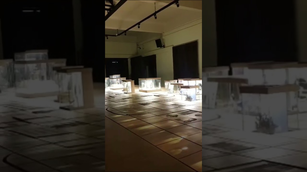 YouTube Short thumbnail