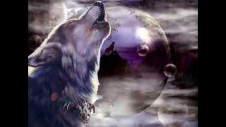 Medicine Wolf - Shamanic Music, Native American Music
