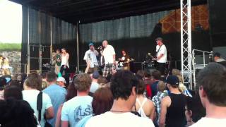 Herreløse med Sunny