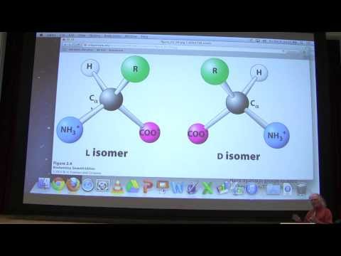 3.  Kevin Ahern's Biochemistry - Amino Acids