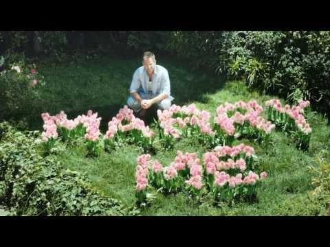 あなた|愛の宣言