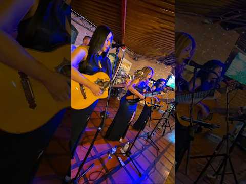 Lo siento Cover The Divas Trío #musica #music #requinto #thedivastrío #live #paratiiiiiiiiiiiiiiiiii