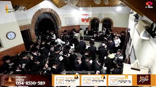 הילולא בקערעסטיר – ג’ אייר תשפ”ג – שידור חי מהציון הק’ ומסעודות ההילולא רבתי