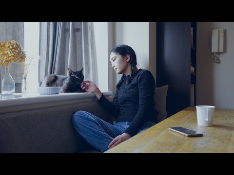 trailer | Where Bibi Went | びびのゆくえ