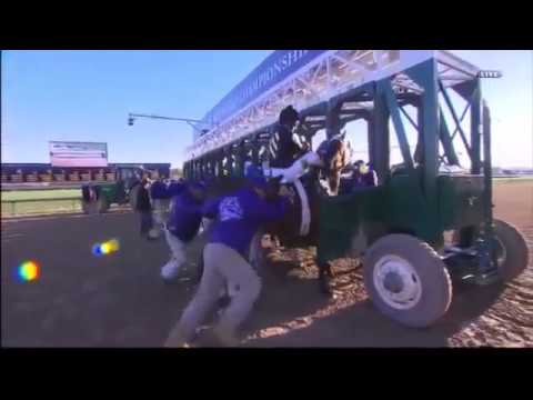 2011Breeders Cup Juvenile (Hansen)