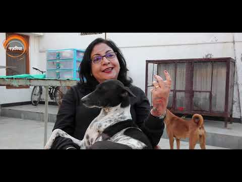 AUF नज़रिया | हौसलों की उड़ान | जीव बसेरा | राखी किशोर