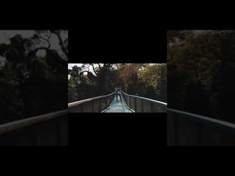 ShittyBoyz StanWill best verses pt.1