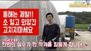 지금은 딸기 쏘일킹 소독 시대 이번참에 토양, 배지 소독하셔서 걱정없는 딸기재배 같이해요!! 딸기 병해충 방…