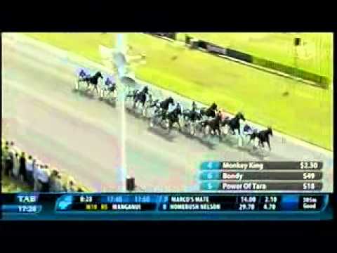 2010 Woodlands NZ Free-For-All - theharnessedge.com