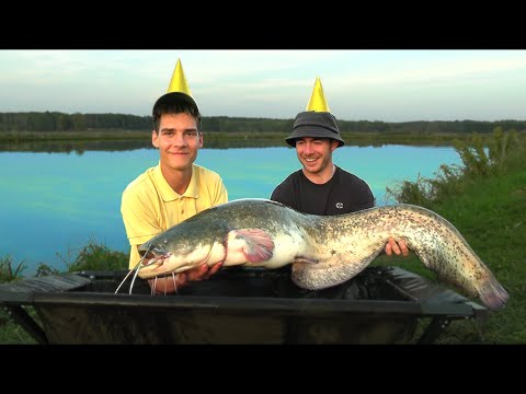 ŁOWIMY DUŻE RYBY NA WĄTRÓBKĘ !