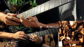 Necrophagist - The Stillborn One (Full Guitar Cover with Solo)