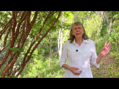 BARRIGA GRANDE NÃO É NORMAL: O HÁBITO ANTIGO QUE FOI ESQUECIDO