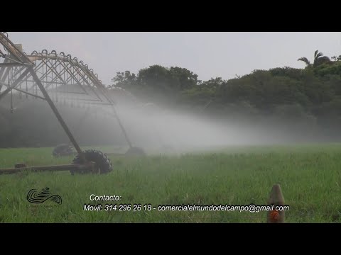 AGROPECUARIA COROZITO CAP 2   MANI CASANARE